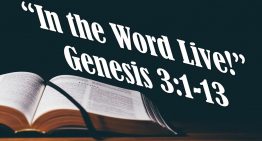 In the Word, Live! – Genesis 3:1-13