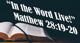 In the Word, Live! – Matthew 28:19-20